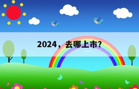 2024，去哪上市？