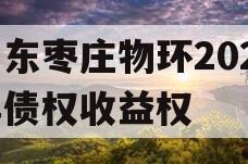 山东枣庄物环2024年债权收益权