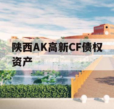 陕西AK高新CF债权资产