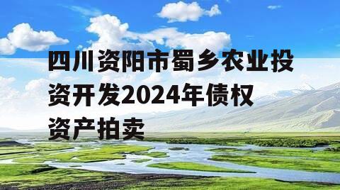 四川资阳市蜀乡农业投资开发2024年债权资产拍卖