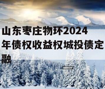 山东枣庄物环2024年债权收益权城投债定融