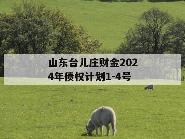 山东台儿庄财金2024年债权计划1-4号