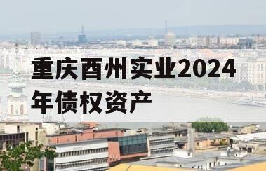 重庆酉州实业2024年债权资产