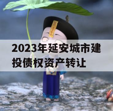 2023年延安城市建投债权资产转让