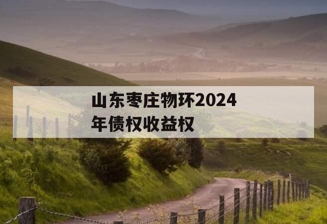 山东枣庄物环2024年债权收益权