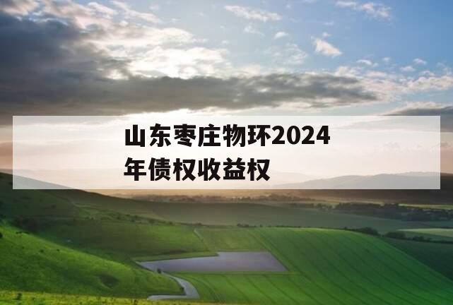 山东枣庄物环2024年债权收益权