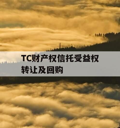 TC财产权信托受益权转让及回购