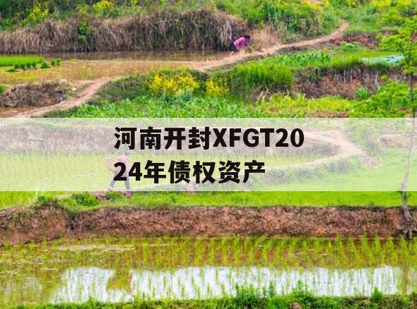 河南开封XFGT2024年债权资产