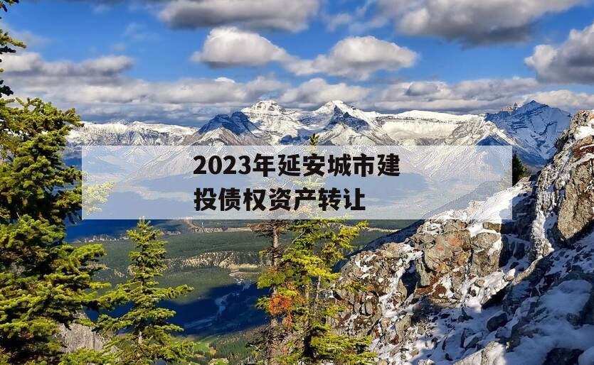 2023年延安城市建投债权资产转让