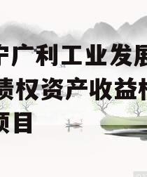 遂宁广利工业发展2024债权资产收益权转让项目