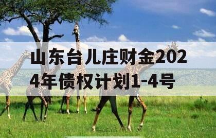 山东台儿庄财金2024年债权计划1-4号