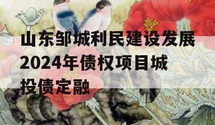 山东邹城利民建设发展2024年债权项目城投债定融