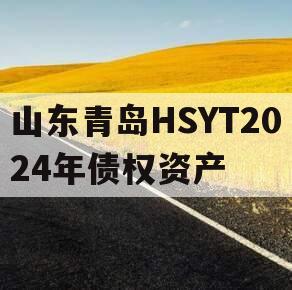 山东青岛HSYT2024年债权资产