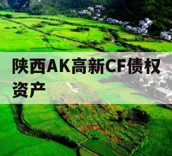 陕西AK高新CF债权资产