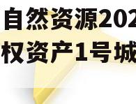 南海自然资源2024年债权资产1号城投债定融