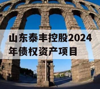 山东泰丰控股2024年债权资产项目