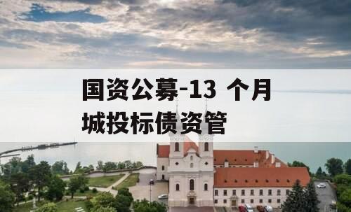 国资公募-13 个月城投标债资管