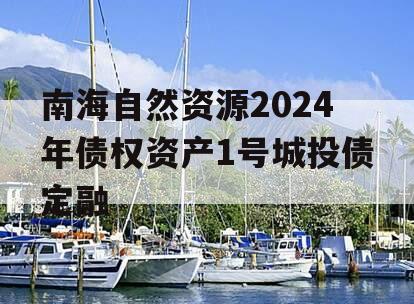 南海自然资源2024年债权资产1号城投债定融