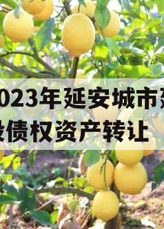 2023年延安城市建投债权资产转让