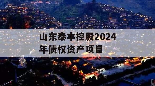 山东泰丰控股2024年债权资产项目