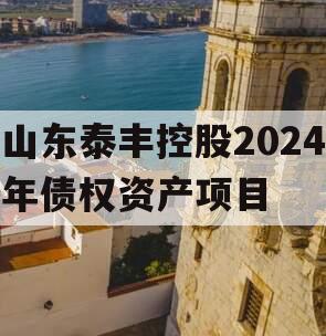 山东泰丰控股2024年债权资产项目