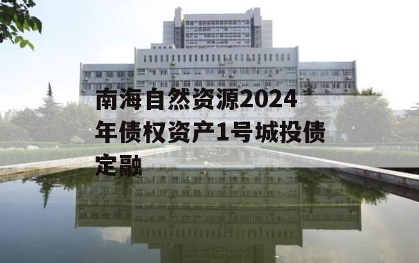 南海自然资源2024年债权资产1号城投债定融