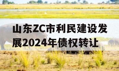 山东ZC市利民建设发展2024年债权转让