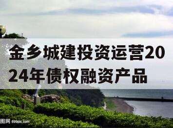 金乡城建投资运营2024年债权融资产品