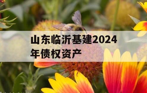 山东临沂基建2024年债权资产