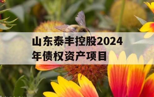 山东泰丰控股2024年债权资产项目