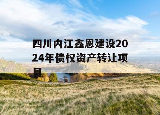 四川内江鑫恩建设2024年债权资产转让项目