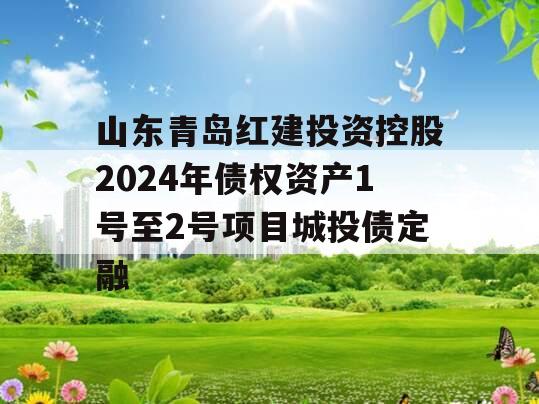 山东青岛红建投资控股2024年债权资产1号至2号项目城投债定融