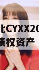 湖北CYXX2024年债权资产