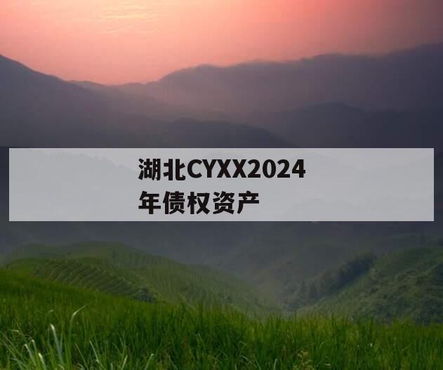 湖北CYXX2024年债权资产