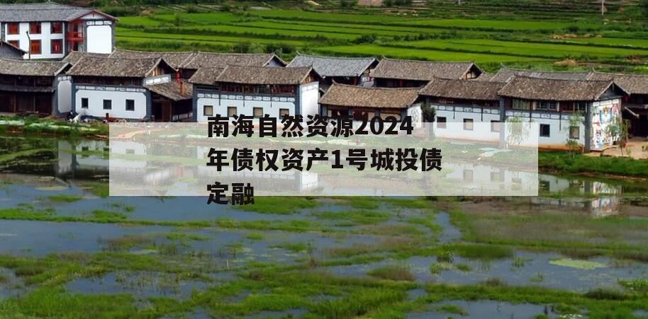 南海自然资源2024年债权资产1号城投债定融