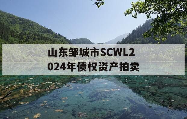 山东邹城市SCWL2024年债权资产拍卖