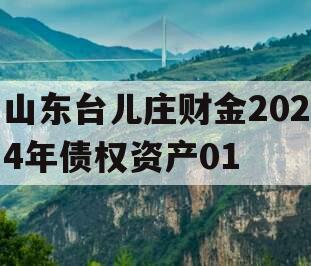 山东台儿庄财金2024年债权资产01