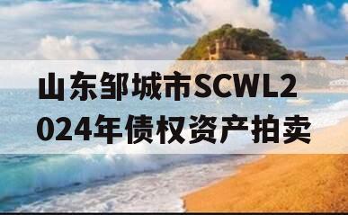 山东邹城市SCWL2024年债权资产拍卖