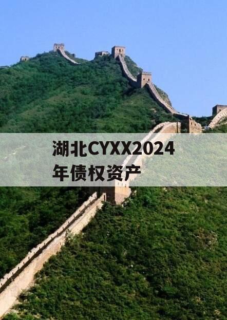 湖北CYXX2024年债权资产