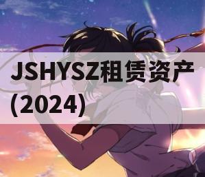 JSHYSZ租赁资产(2024)