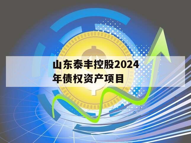 山东泰丰控股2024年债权资产项目