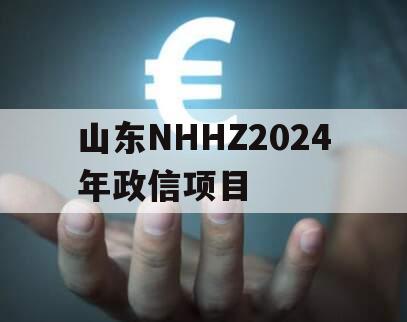 山东NHHZ2024年政信项目