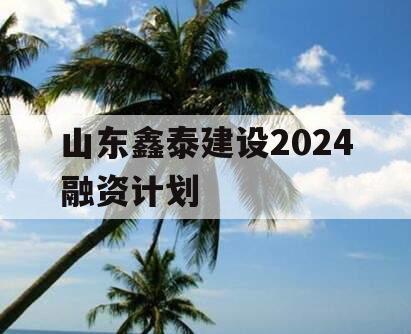 山东鑫泰建设2024融资计划