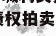 山东邹城利民投资2024年债权拍卖计划项目