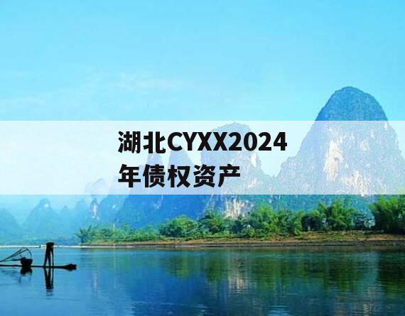 湖北CYXX2024年债权资产