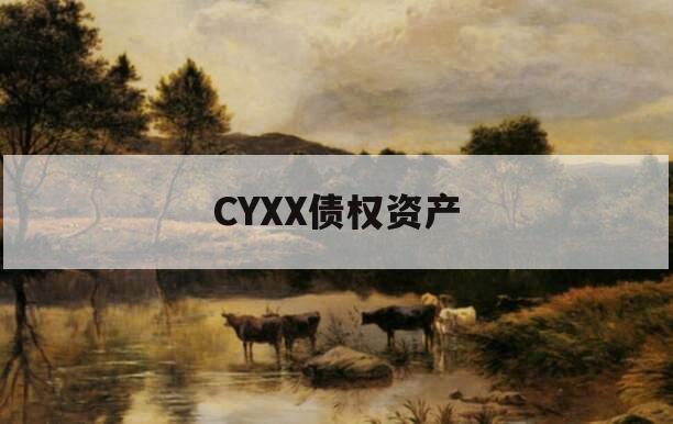 CYXX债权资产