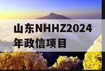 山东NHHZ2024年政信项目