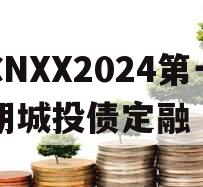 CNXX2024第一期城投债定融