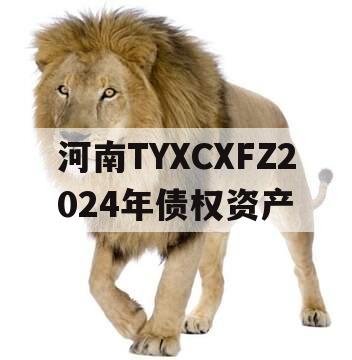 河南TYXCXFZ2024年债权资产