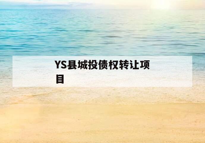 YS县城投债权转让项目